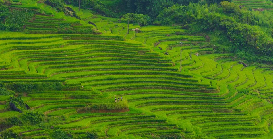 Kho gạo xếp bao