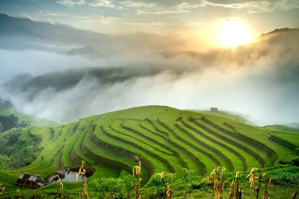 Kho gạo của Văn Thị Xuân Hường